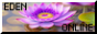 Eden online
